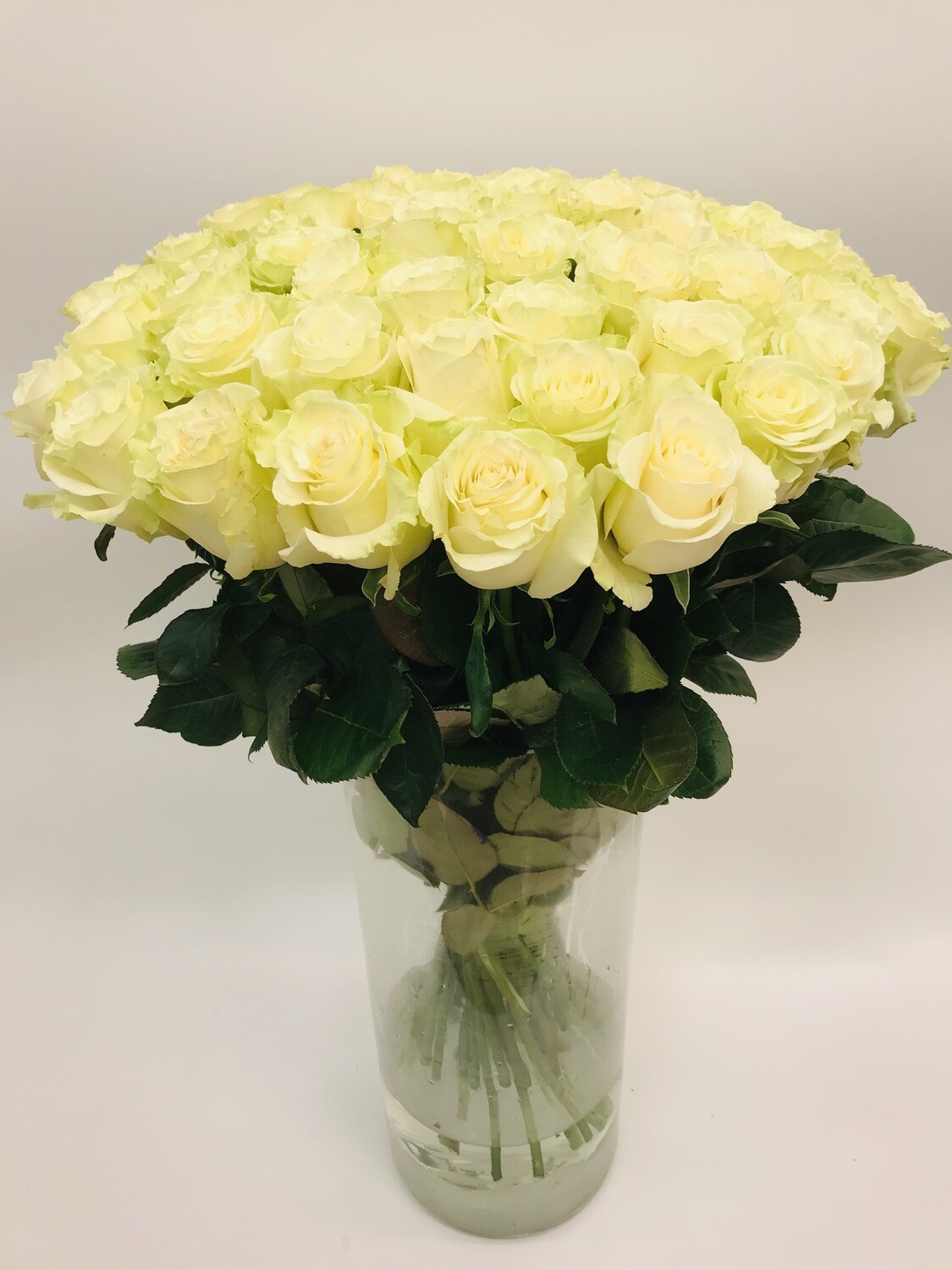 Роза белая Эквадор 70 см