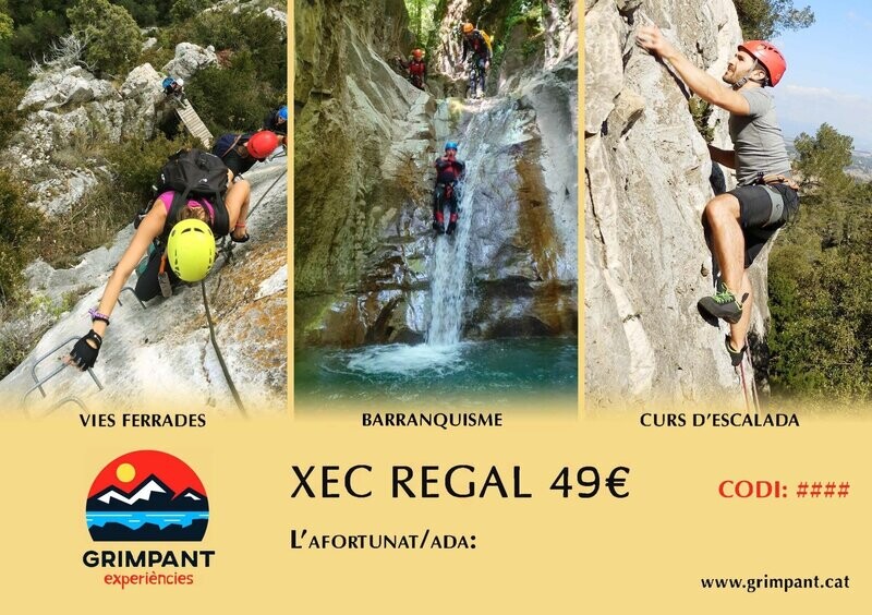 Xec regal