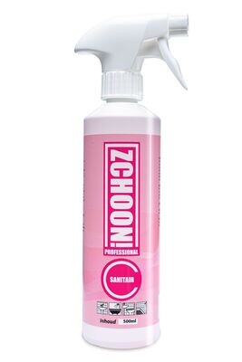 Sanitairreiniger - Spray 500 ml (12 in doos)