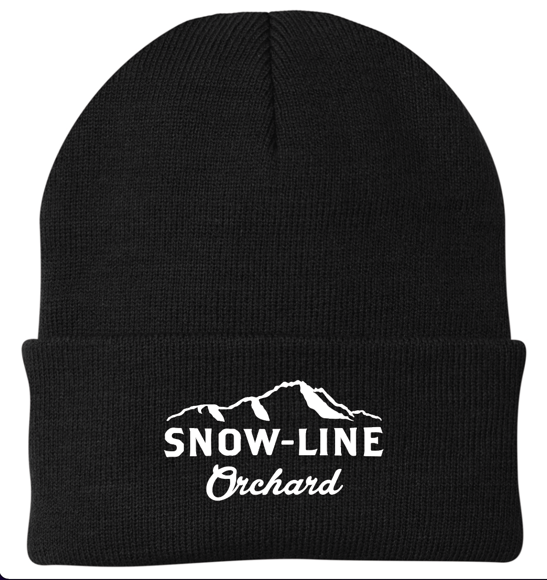 Black Cuffed Beanie