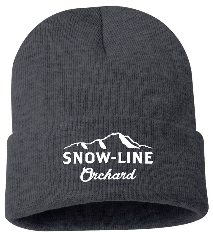 Gray Cuffed Beanie