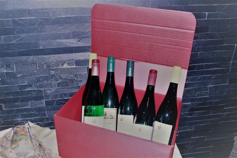 Mosel Weinprobe  12 Flaschen