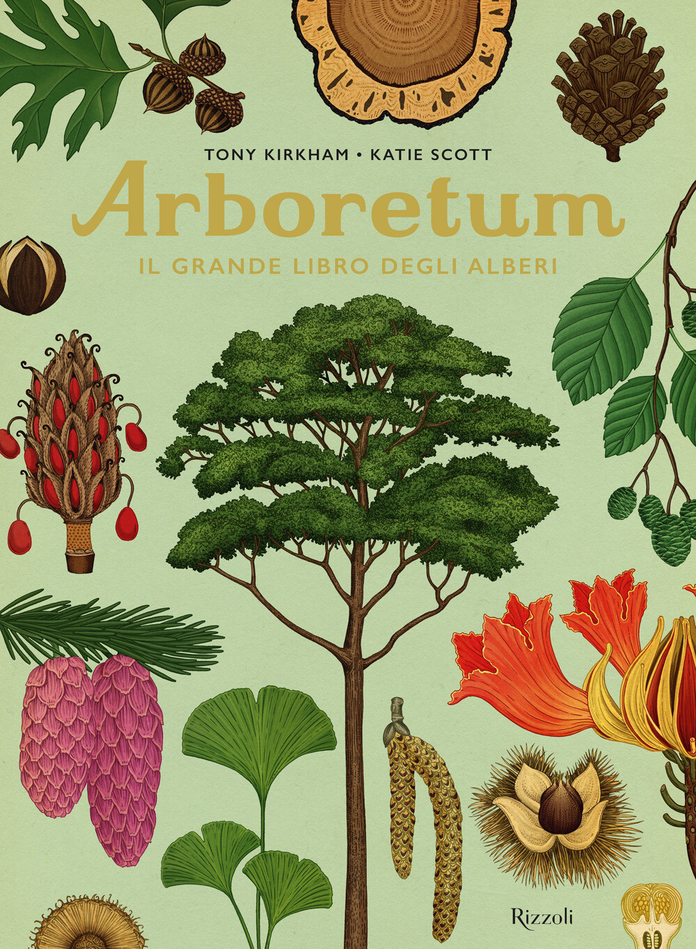 T.Kirkham, Arboretum, Rizzoli