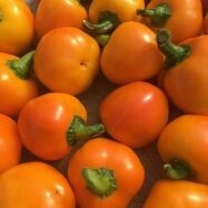 Carrot Bomb Hot Pepper - Organic