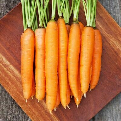 Dolciva Carrot - Organic