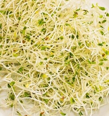 Smarter Sandwich Sprouting  Seeds Mix- Organic - 100 grams