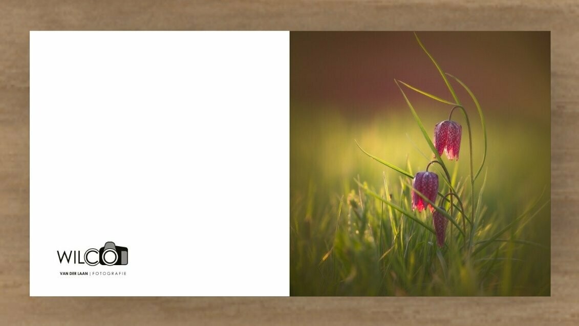 Kaart van Kievitsbloemen tijdens zonsondergang