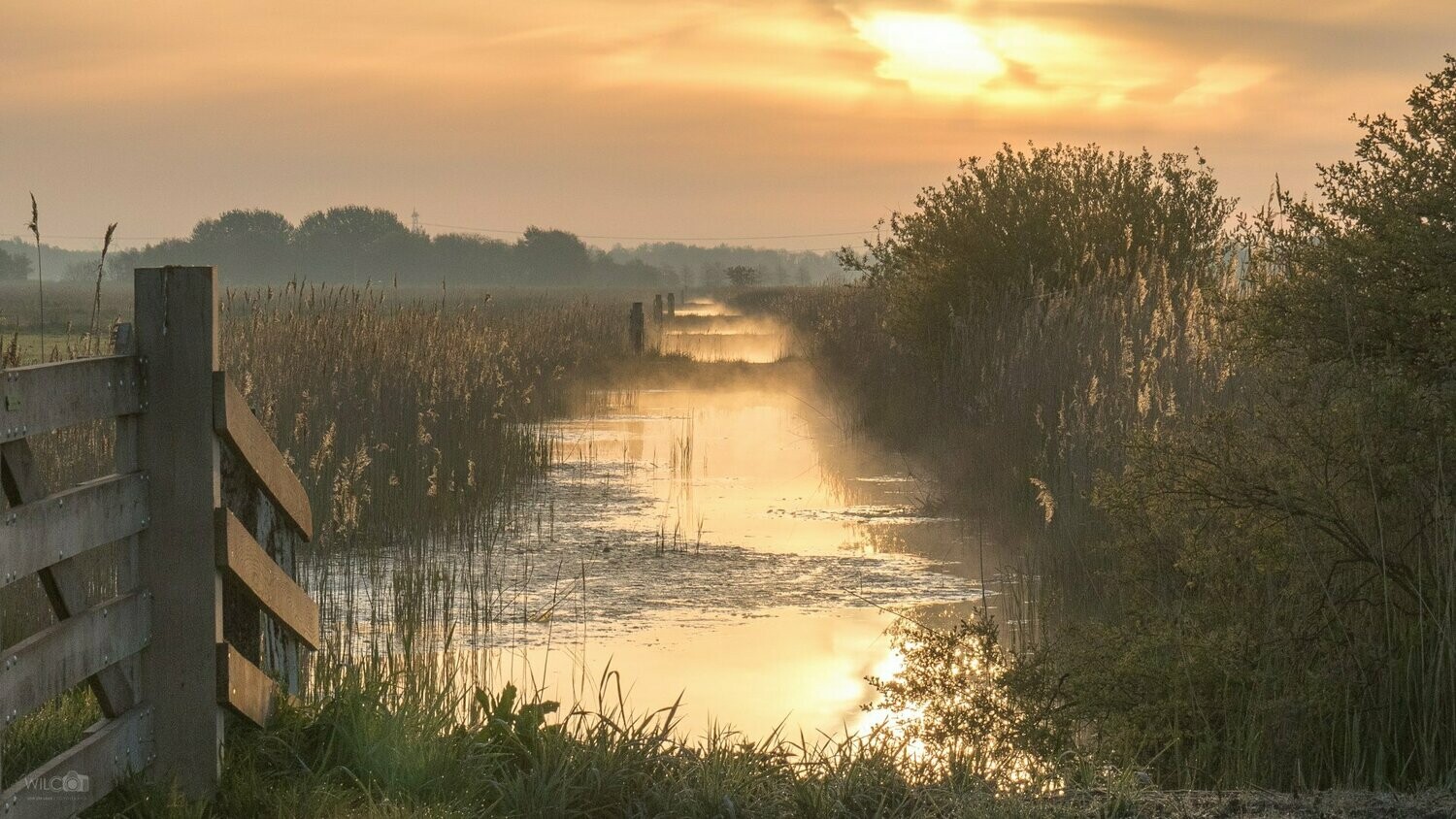 Haansvaart tijdens zonsopgang