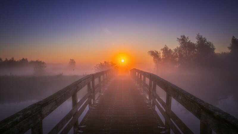 Zonsopgang bruggetje woudbloem