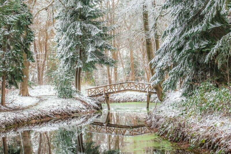 Besneeuwd boslandschap in het Slochterbos van Landgoed Fraeylemaborg