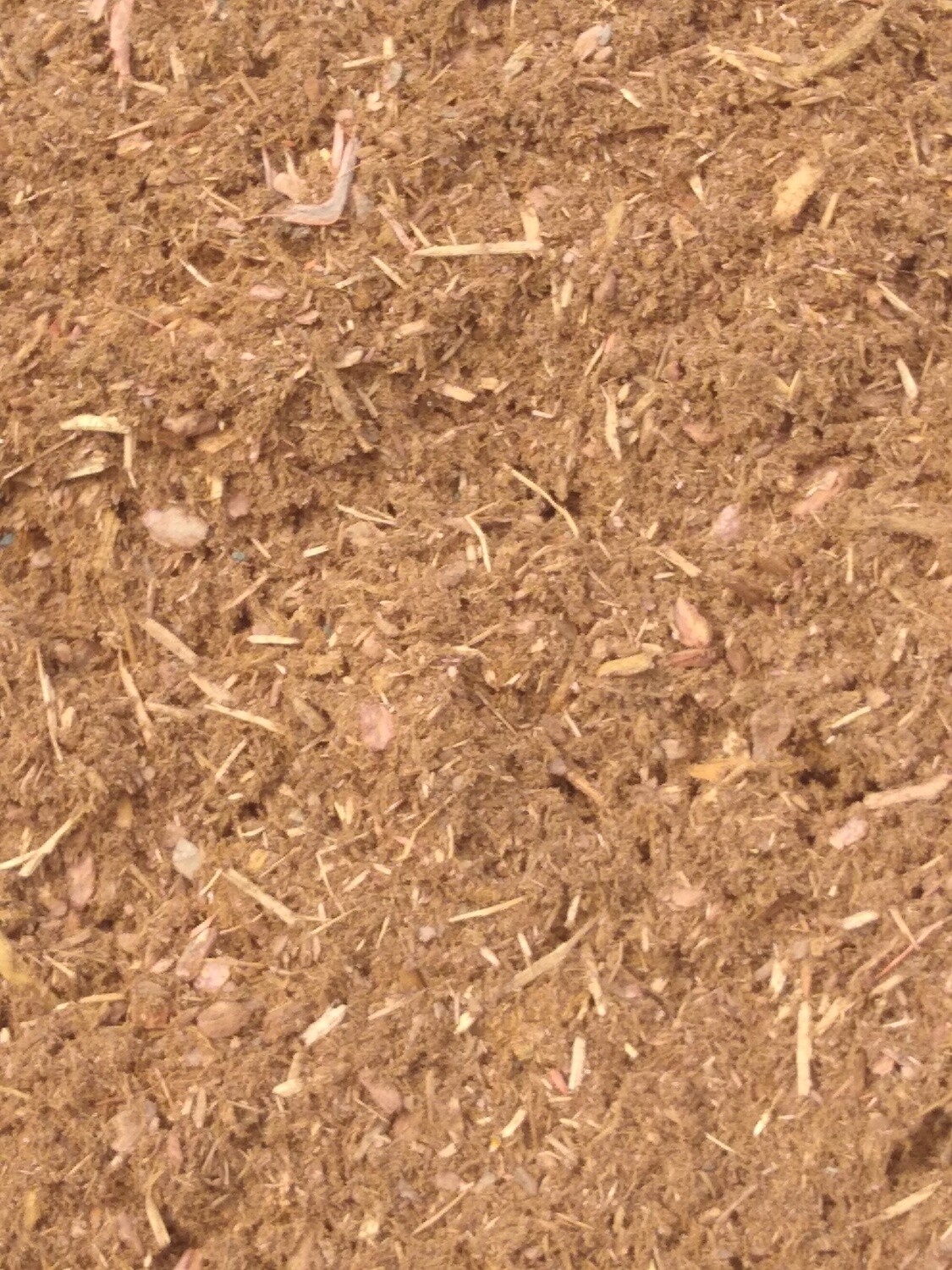 Delivered  *HEMLOCK*