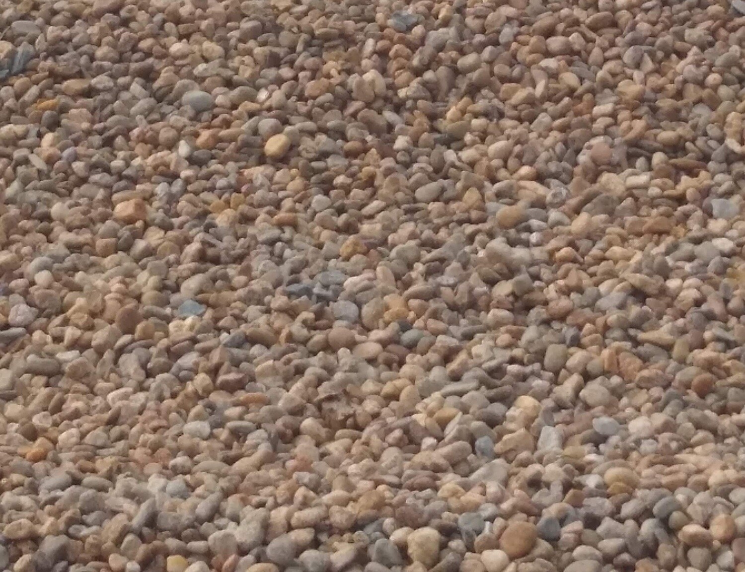 3/4- BROWN
