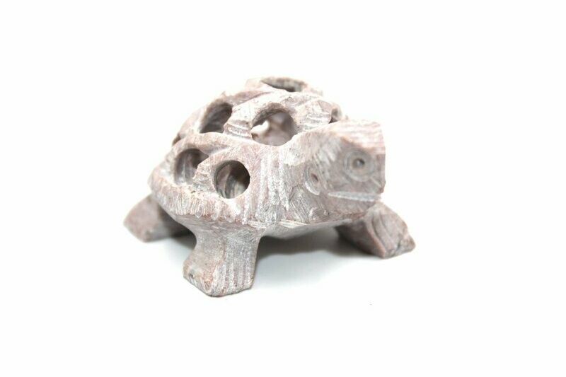 Mini Schildkröte | Mini Turtle Mini Schildkröte | Mini Turtle
