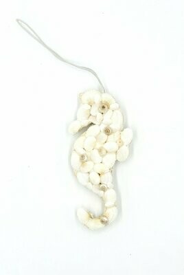 Seepferdchen | Seahorse