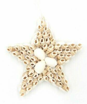 Beiger Stern | beige star