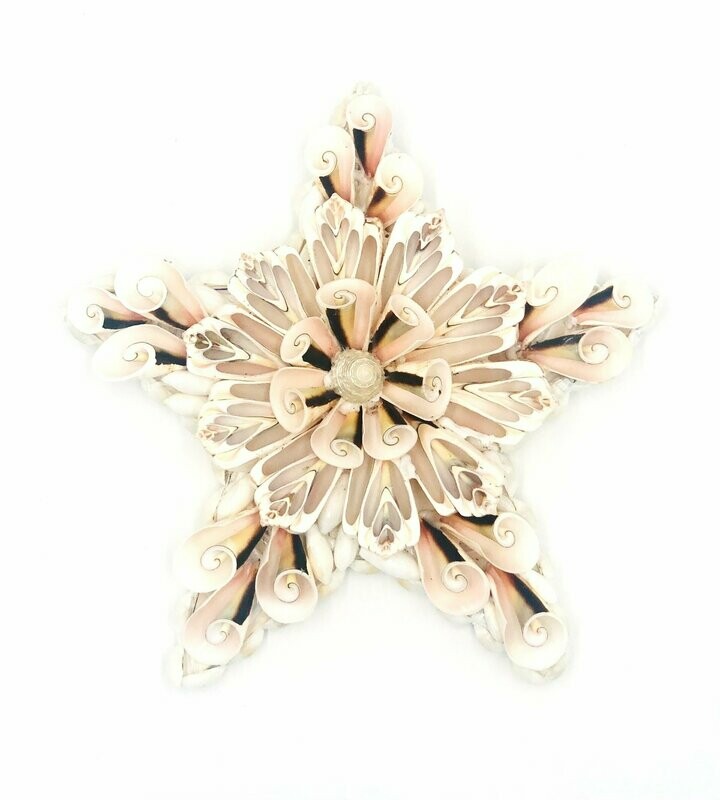 Muschelstern | Sea shell star