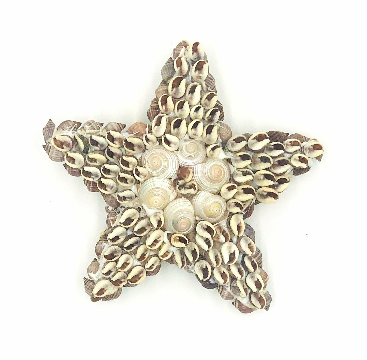 Brauner Stern | Brown star