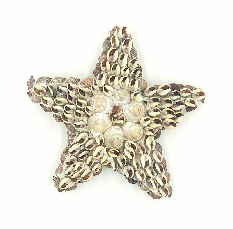 Brauner Stern | Brown star