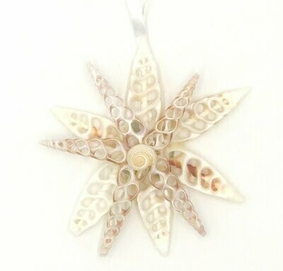 Spitzer Stern | Pointed star