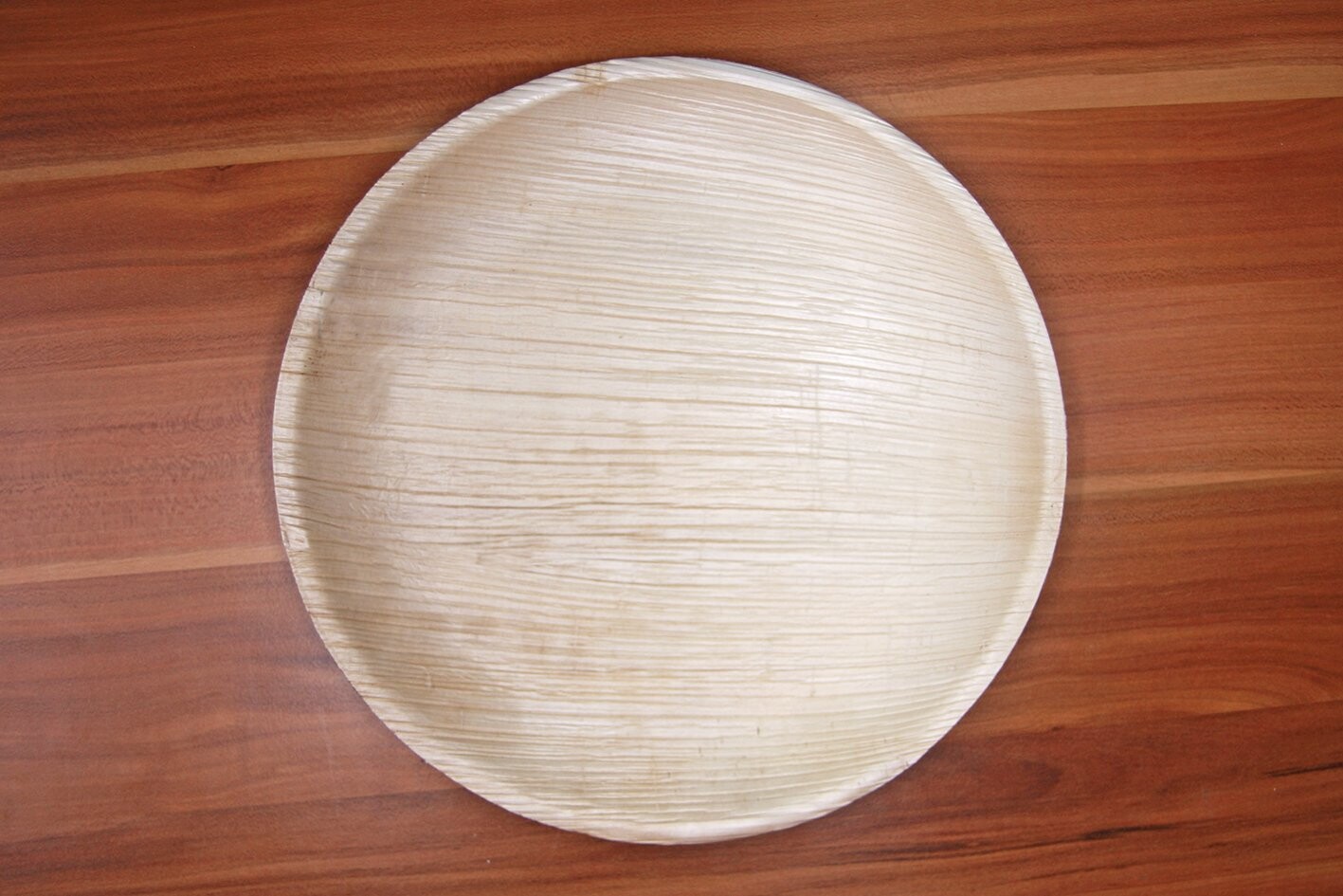 Runder Teller - M | Round Plate - M (12 Stück)