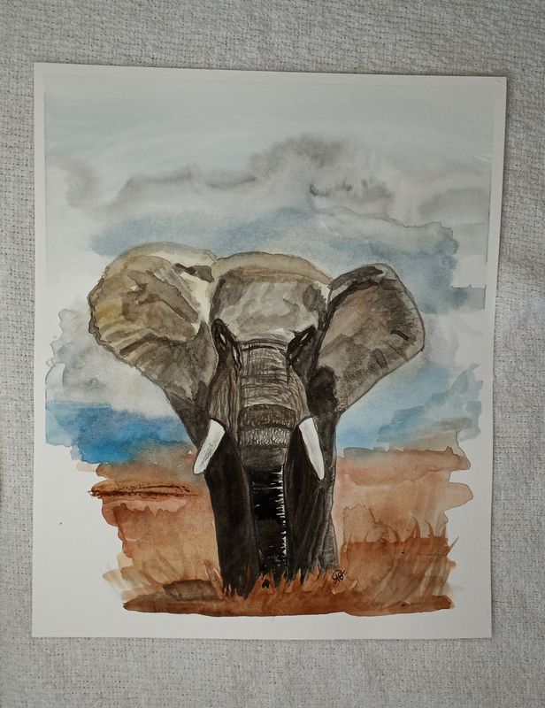 Watercolor Elephant