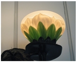 Water Lily Circle Membership