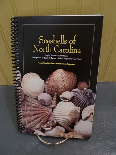 Seashells of North Carolina