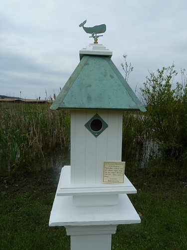 Elegant Bird House