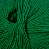 Cascade 220 Superwash - Christmas Green - 864