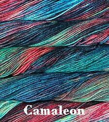 Malabrigo RIOS - Camaleon 684