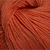 Cascade 220 Superwash - Pumpkin - 822