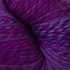 Cascade 220 Superwash Wave  - Grapes - 117