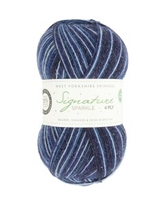 WYS - Signature Sparkle - 4 Ply Silent Night - 1524