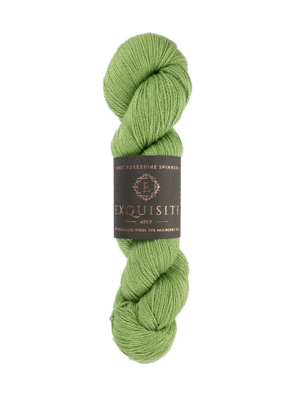 WYS Exquisite 4 Ply - Eden - 401