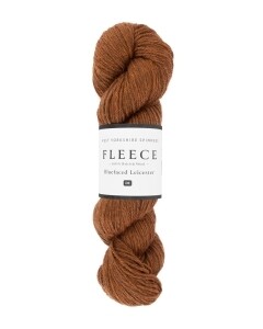 WYS - FLEECE - BFL DK - Umber 1037