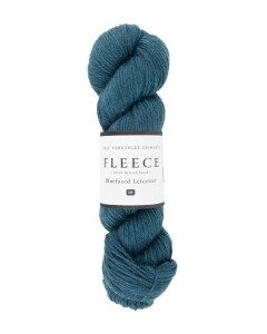 WYS - FLEECE - BFL DK - Ravine 1041