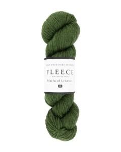 WYS - FLEECE - BFL DK - Forest 1039