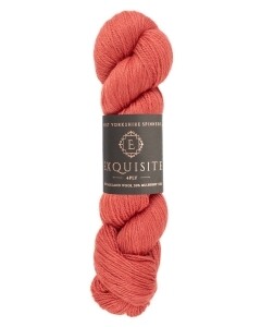 WYS Exquisite 4 Ply - Bloomsbury - 1131