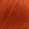 Cascade 220 Superwash  - Pureed Pumpkin  - 0366