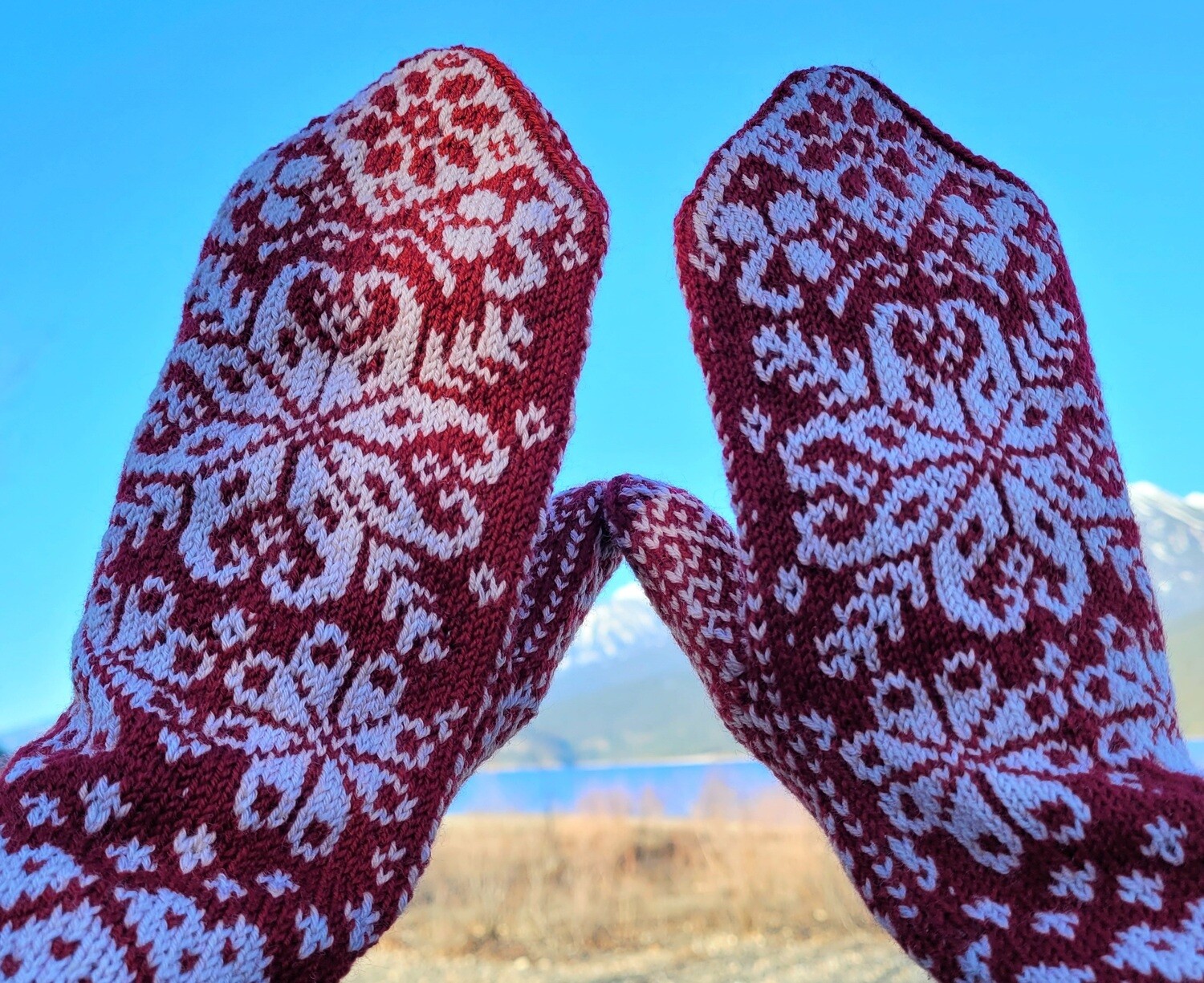 Mittens For Pamela Mitten Kit - Lily Respair