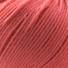 Cascade 220 Superwash - Strawberry Pink - 834