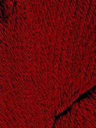 Queensland Falkland Worsted - 07 Garnet