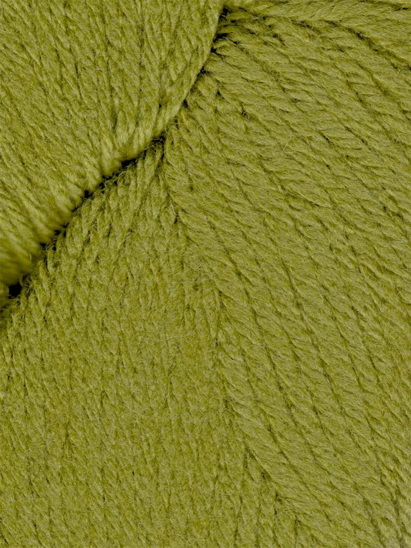 Queensland Falkland Worsted - 10 Avocado