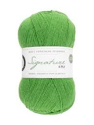 WYS - Signature 4 Ply - Chocolate Lime - 06