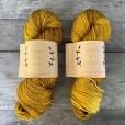 Lichen and Lace - Eco Worsted - Amber