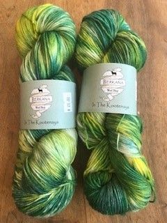 Berkana - In The Kootenays - Merino Sock Yarn - Ainsworth