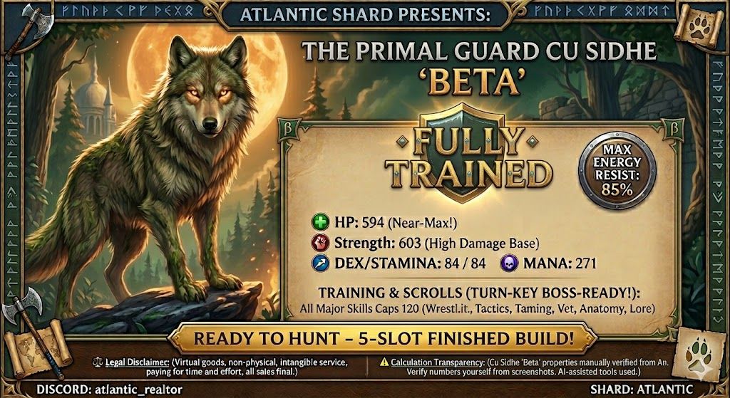 🐺 "Beta" FULLY TRAINED WHITE CU SIDHE - Chivalry 🐺