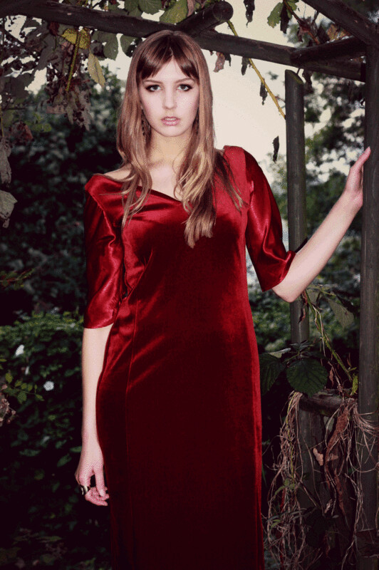 Violet - Velvet Panel Dress