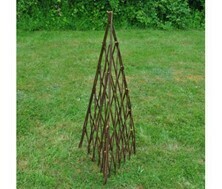 Expanding Willow Obselik - Home