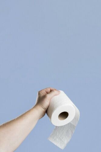 Bio Toilet Roll - Home